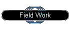 Field Work