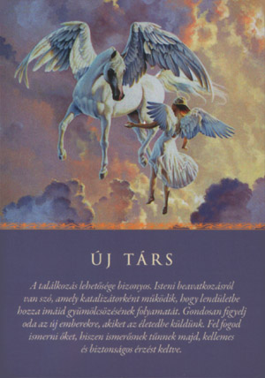 Új társ