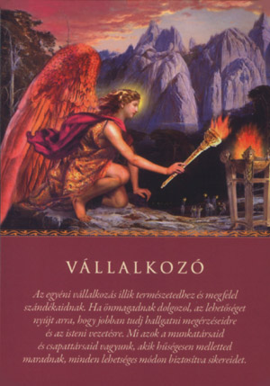 Vállalkozó