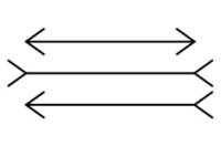 Müller-Lyer figure