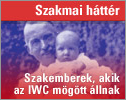 Szakmai háttér
