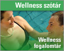 Wellness szótár