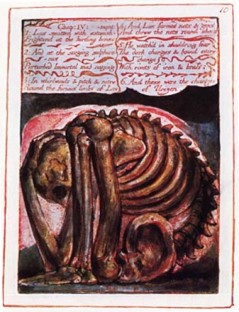 Plate 8. - The Skeleton Of Life