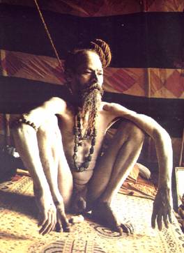 sadhu darshan