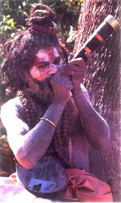 aghori sadhu