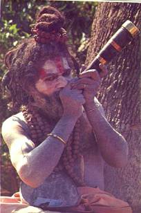 Aghori sadhu