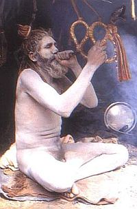 sadhu