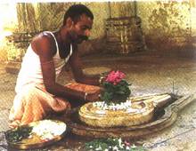 Murtipa murtipa