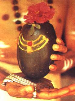 lingam