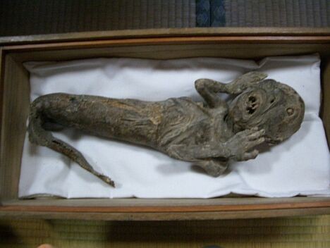 Mermaid Mummy