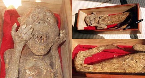 Mermaid Mummy