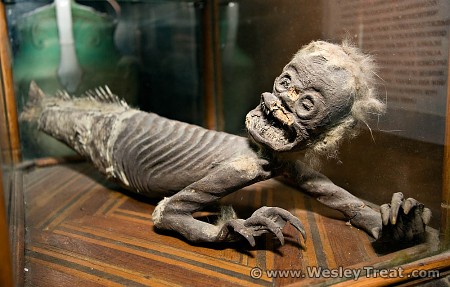 Mermaid Mummy