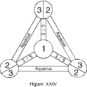 Figure XXIV