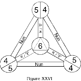 Figure XXVI