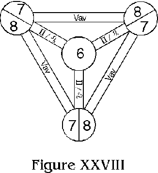 Figure XXVIII