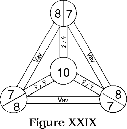 Figure XXIX