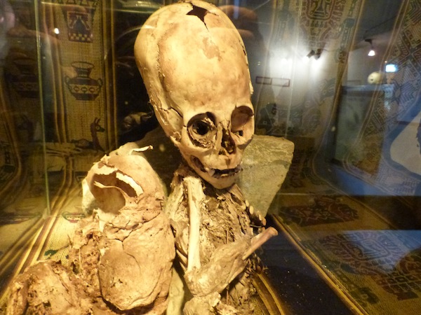 Cusco Alien Mummy