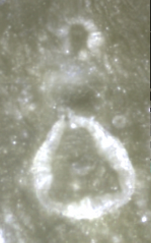 Moon Ukert Crater