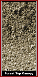 Mars - Strange Lines Network