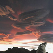 UFO Cloud