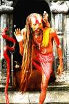 sadhu3.gif (49239 bytes)