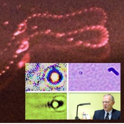 Invisible Terrestrial Entities