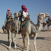 Sahara 2010