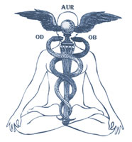 Caduceus