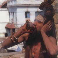 sadhu