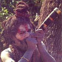 sadhu