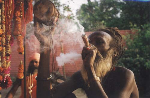Sadhu