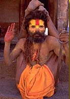 sadhu