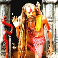 sadhu