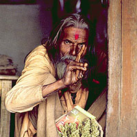 sadhu