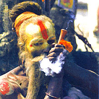 sadhu