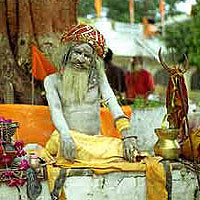 sadhu