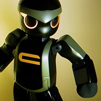 CHROINO Humanoid Robot