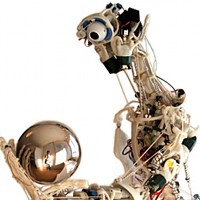 ECCEROBOT (Embodied Cognition in a Compliantly Engineered Robot)