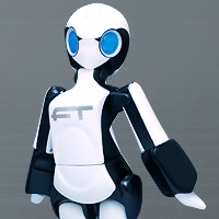 FT (Female Type) Humanoid Robot