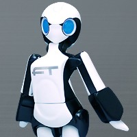 FT (Female Type) Humanoid Robot