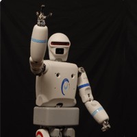 REEM-A humanoid robot