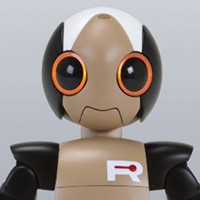 ROPID Humanoid Robot