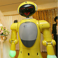 Tiro Humanoid Robot