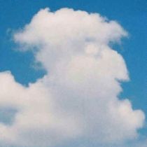 Cloud Face