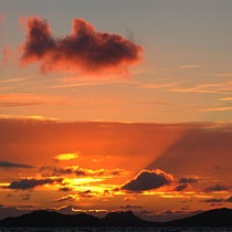 Cloud Fish