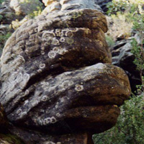 Rock Face