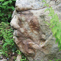 Rock Face