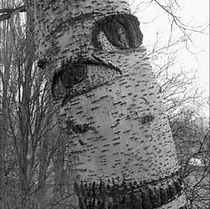 Tree Face