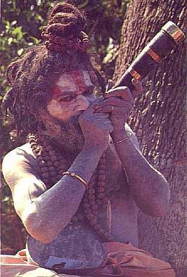 aghori sadhu