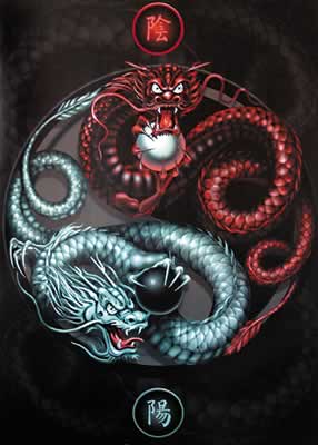 yin yang dragons